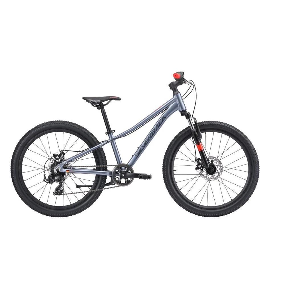 SILVERBACK SPYKE 24 D XENON GREY GYMPIE